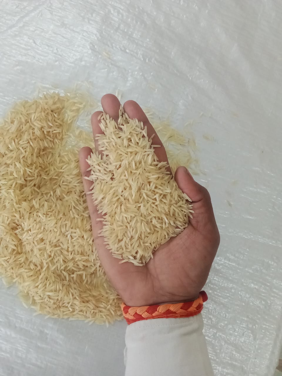 1509 Basmati Steam Rice Manufacturer, Wholesaler & Exporter in UP, Uttarakhand, Delhi, Haryana & India